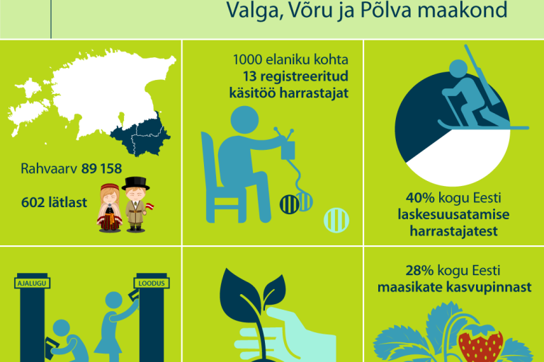 Kagu-Eesti ettevõtlus