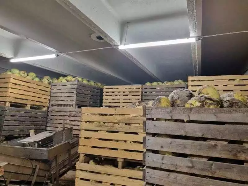 maaelu maaelu toetustena järgneval viiel aastal üle 1,7 miljardi euro.