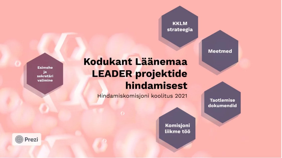 Läänemaa leader projektid