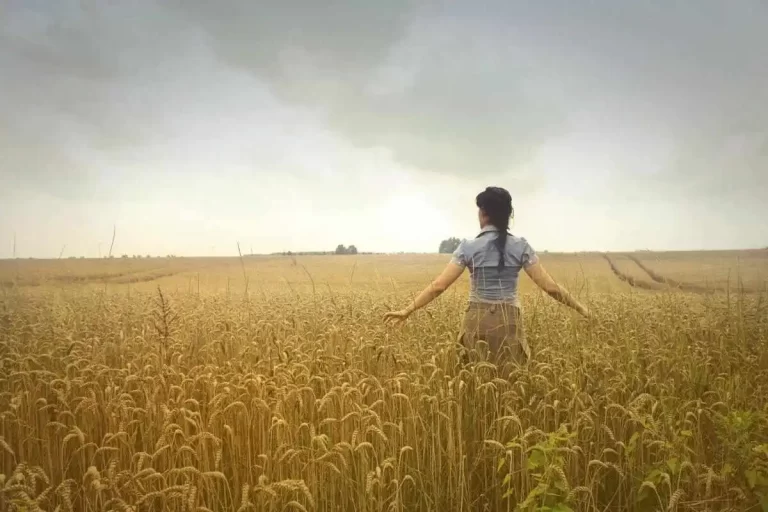 Põllumajandusliku tegevusega alustava noore ettevõtja toetus Põllumajandusliku tegevusega alustava noore ettevõtja toetus