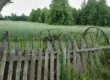 Konkurentsivõime suurendamise investeeringutoetus