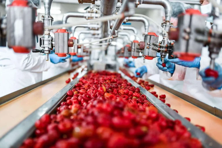 toiduainetööstuse investeerimistoetus toiduainetööstuse investeerimistoetus